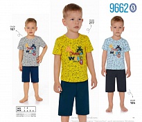 картинка BR Костюм для хлопчика 01-02 (футболка+шорти)  9662    01,02  2шт. магазин Одежда+ являющийся официальным дистрибьютором