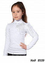 картинка -- Mevis Кофта стойка для дівчинки 1361  122-146  5(4) шт магазин Одежда+ являющийся официальным дистрибьютором
